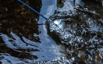 CONEXIÓN ENTRE LA ANTÁRTIDA Y EL GOLFO DE TRIBUGÁ